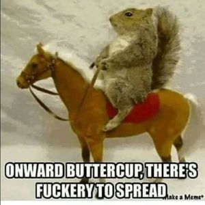 Meet your Posher, Carlin